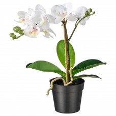 Штучна рослина в горщику IKEA FEJKA орхідея білий 9 см (002.859.08)