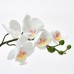 Искусственное растение в горшке IKEA FEJKA орхидея белый 9 см (002.859.08)