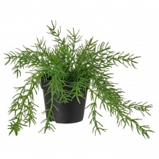Искусственное растение в горшке IKEA FEJKA 9 см (004.761.30)
