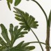 Штучна рослина в горщику IKEA FEJKA філодендрон 23 см (004.761.54)