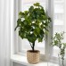 Искусственное растение в горшке IKEA FEJKA 15 см (004.933.42)