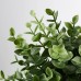 Штучна рослина в горщику IKEA FEJKA материнка 9 см (103.751.59)