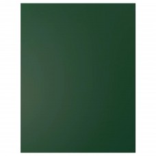 Фальш-панель IKEA BODBYN темно-зелений 62x80 см (104.445.01)
