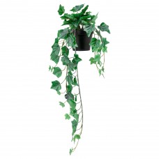 Искусственное растение в горшке IKEA FEJKA плющ 12 см (104.611.47)