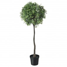 Штучна рослина в горщику IKEA FEJKA стебло самшиту 15 см (104.760.97)