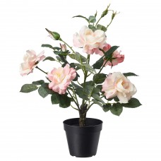 Штучна рослина в горщику IKEA FEJKA троянда рожевий 12 см (203.952.89)