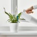 Індикатор поливу рослин IKEA CHILIPULVER зелений (204.050.28)