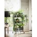 Штучна рослина в горщику IKEA FEJKA папороть 15 см (204.684.50)