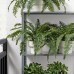 Штучна рослина в горщику IKEA FEJKA папороть 15 см (204.684.50)