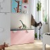 Скамья с отделением для игрушек IKEA SMASTAD белый бледно-розовый 90x52x48 см (293.891.56)