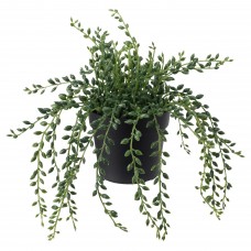 Искусственное растение в горшке IKEA FEJKA 9 см (303.953.40)