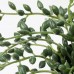 Искусственное растение в горшке IKEA FEJKA 9 см (303.953.40)
