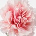 Цветок искусственный IKEA SMYCKA гвоздика розовый 30 см (304.097.90)