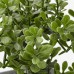 Штучна рослина в горщику IKEA FEJKA бонсай (304.761.62)