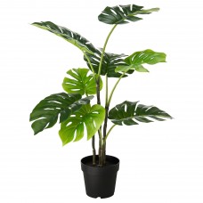 Искусственное растение в горшке IKEA FEJKA монстера 19 см (403.952.88)