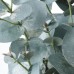 Штучна рослина в горщику IKEA FEJKA евкаліпт 15 см (404.523.68)