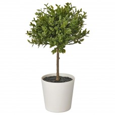 Штучна рослина в горщику IKEA FEJKA мирт 6 см (404.933.78)