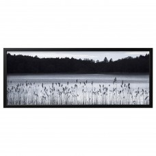 Картина з рамкою IKEA BJORKSTA чорний 140x56 см (493.849.59)