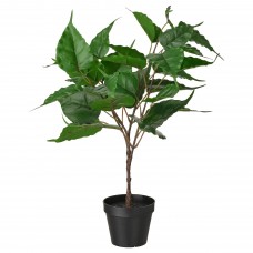 Искусственное растение в горшке IKEA FEJKA Смоковница 12 см (504.761.23)