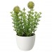 Штучна рослина в горщику IKEA FEJKA трава 6 см (504.761.56)