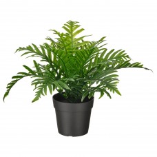 Искусственное растение в горшке IKEA FEJKA папороть 9 см (504.933.49)