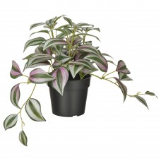 Искусственное растение в горшке IKEA FEJKA традесканция 9 см (604.933.77)