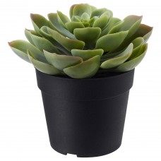 Искусственное растение в горшке IKEA FEJKA суккулент 9 см (703.953.00)