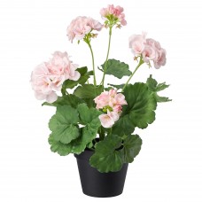 Искусственное растение в горшке IKEA FEJKA герань розовый 12 см (703.953.43)