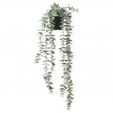 Искусственное растение в горшке IKEA FEJKA эвкалипт 9 см (704.668.11)