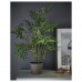 Штучна рослина в горщику IKEA FEJKA бамбук 12 см (704.704.55)