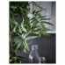 Штучна рослина в горщику IKEA FEJKA бамбук 12 см (704.704.55)