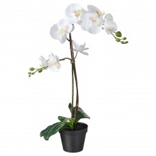 Штучна рослина в горщику IKEA FEJKA орхідея білий 12 см (802.859.09)