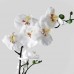 Штучна рослина в горщику IKEA FEJKA орхідея білий 12 см (802.859.09)