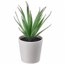 Искусственное растение в горшке IKEA FEJKA суккулент 6 см (803.952.91)
