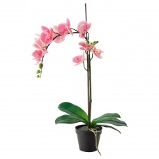 Искусственное растение в горшке IKEA FEJKA орхидея розовый 12 см (902.923.01)