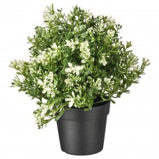 Искусственное растение в горшке IKEA FEJKA чабрец 9 см (903.751.55)