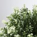 Штучна рослина в горщику IKEA FEJKA чебрець 9 см (903.751.55)