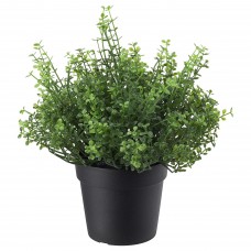 Штучна рослина в горщику IKEA FEJKA солейролія 9 см (903.953.37)