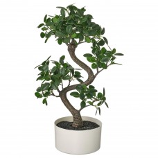 Искусственное растение в горшке IKEA FEJKA бонсай 16 см (904.933.85)