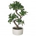 Штучна рослина в горщику IKEA FEJKA бонсай 16 см (904.933.85)